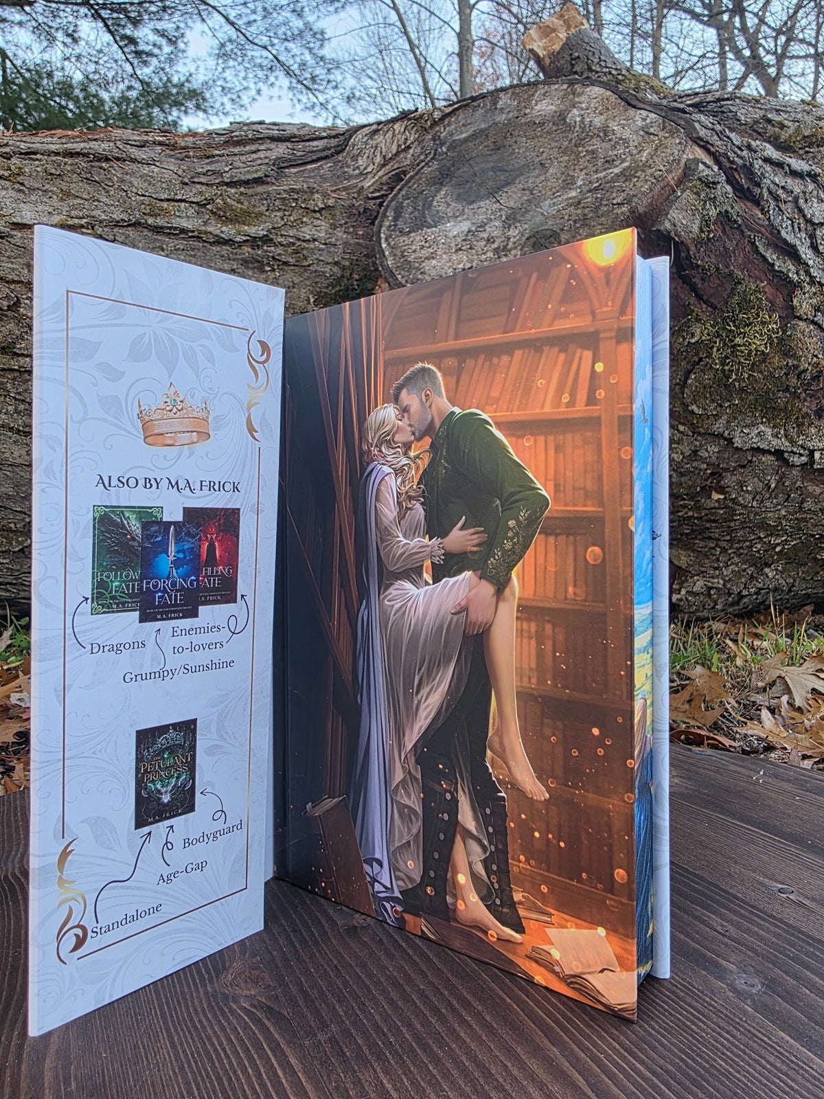 Between Flames and Deceit, Case artwork under dust jacket